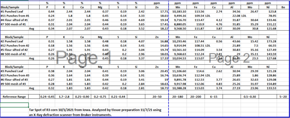 Tar Spot of Corn – Tissue Analysis | Central Iowa Agronomics